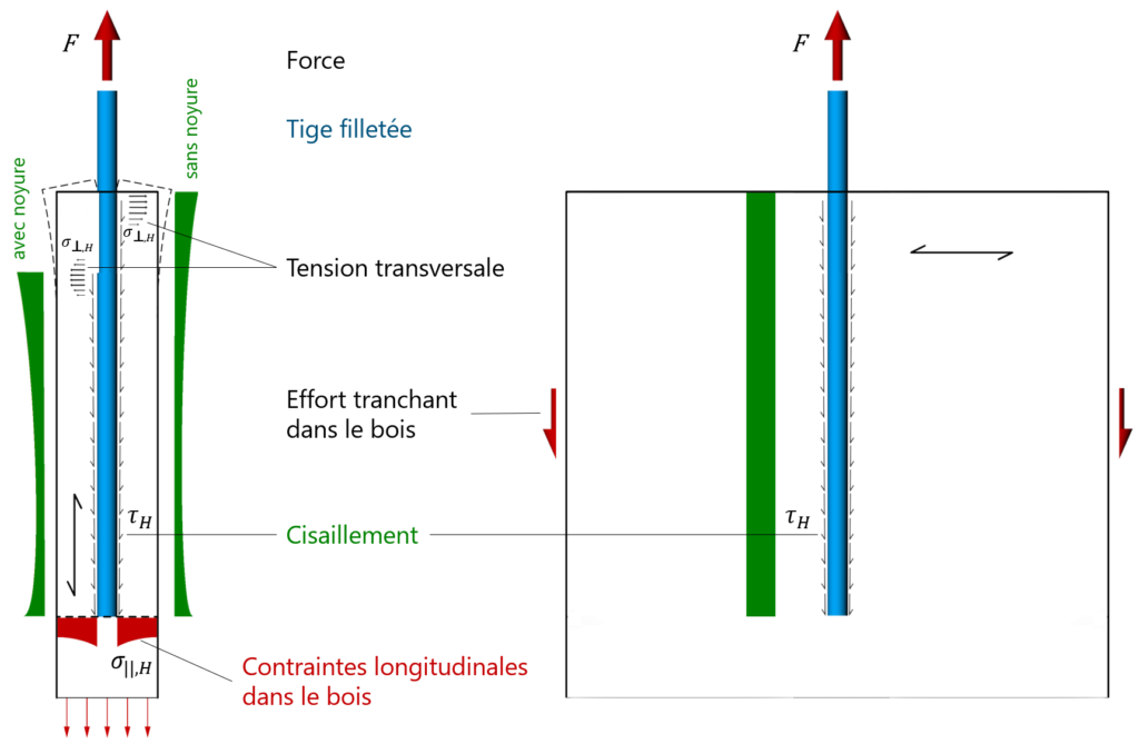 Considération du Module de Glissement Élastique d'un assemblage bois